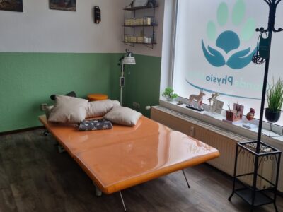 20260326 123121 20260326 123121