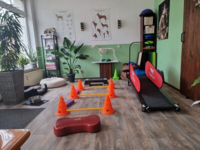 20260326 123146 Praxis inside