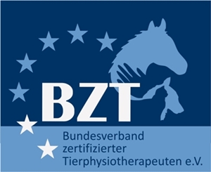 Bzt Logo 2011 Klein Bundesverband Logo klein
