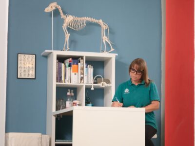 Tierphysiotherapie-Praxis Rüdersdorf Quadrat Tierphysiotherapie-Praxis Rüdersdorf