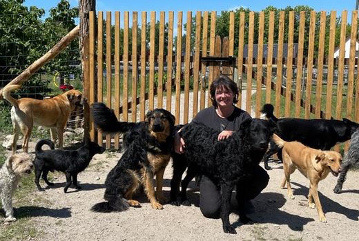 Hundephysiotherapeutin Ramona Bahn Hundephysiotherapeutin Ramona Bahn