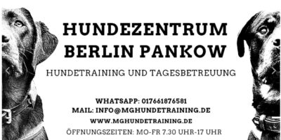 Hundezentrum Berlin Pankow Marcel Gruner Hundetagesstätte Berlin Pankow