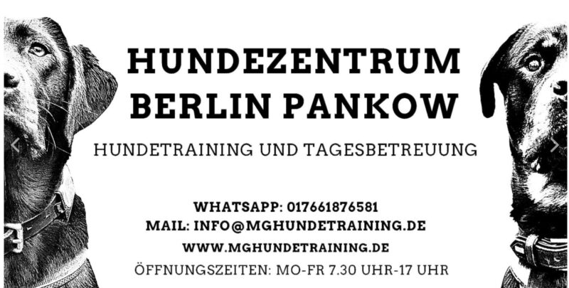 Hundezentrum Berlin Pankow Marcel Gruner Hundetagesstätte Berlin Pankow